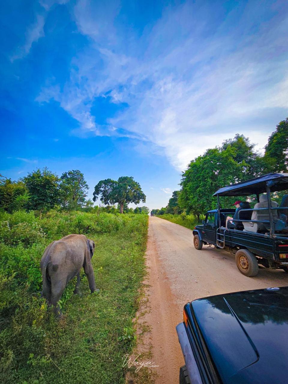 Maka Safari Village Resort Udawalawe Exterior photo